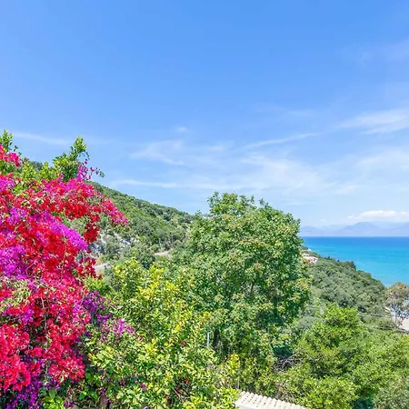 Irida 아프라오스